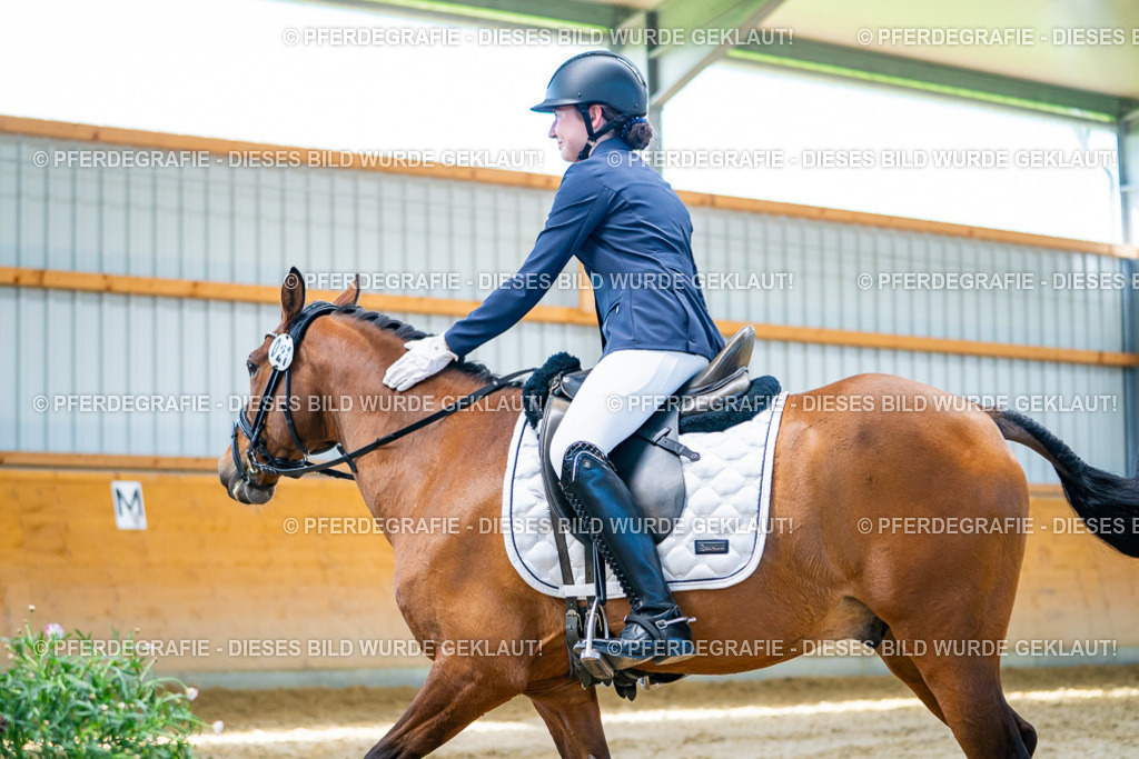 DSC08012 | Pferdegrafie