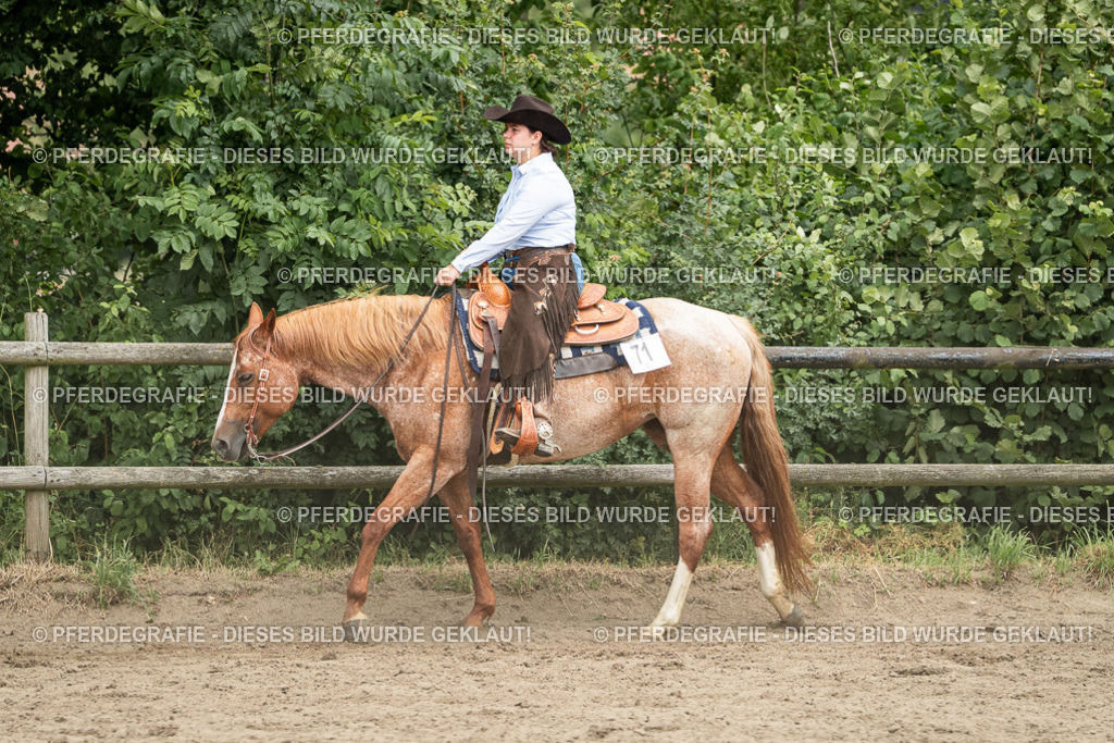 DSC04128 | Pferdegrafie