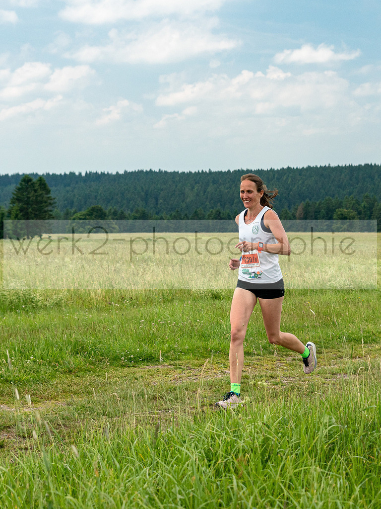 Rennsteig-Staffellauf 2019 | Hörschel bis Blankenstein am 22. Juni 2019