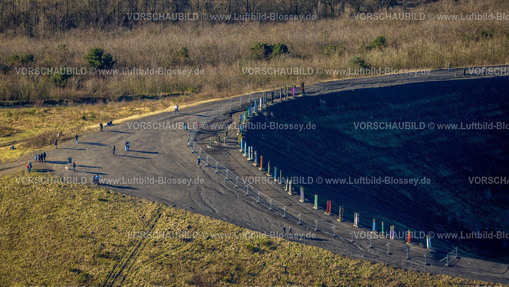 Bottrop240107649 | Luftbild, Halde Haniel, Totems von AgustÃ­n Ibarrola Skulptur Stelen, Fuhlenbrock, Bottrop, Ruhrgebiet, Nordrhein-Westfalen, Deutschland