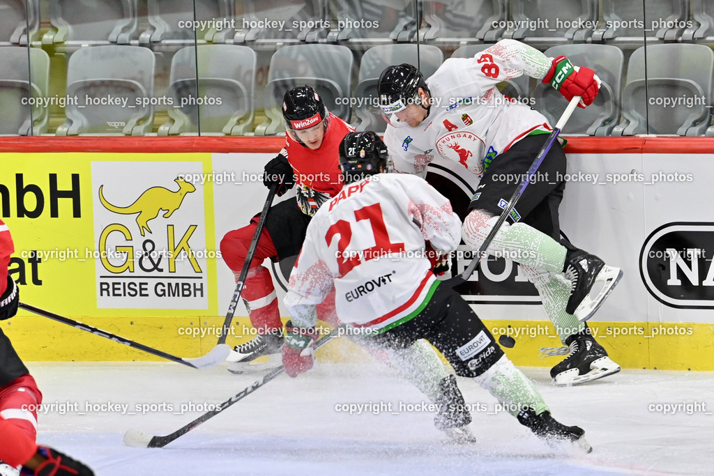 Österreich vs. Ungarn 14.12.2023 | Österreich vs. Ungarn 14.12.2023, Österreich vs. Ungarn  am 14.12.2023 in Klagenfurt (Heidi Horten Arena), Austria, (Photo by Bernd Stefan)