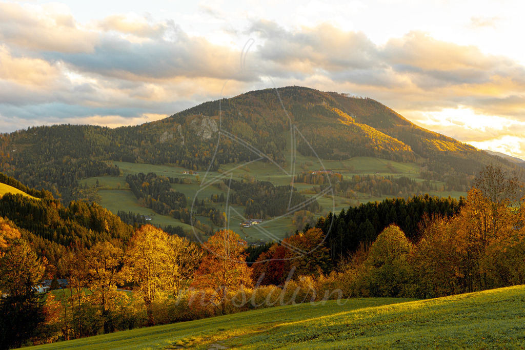 Prochenberg im Herbstkleid | Ihre Fotografin im Lungau, ihre Fotografin im Mostviertel, Wandbilder Onlineshop, Imagefotos für Ihr Unternehmen,  - Realisiert mit Pictrs.com