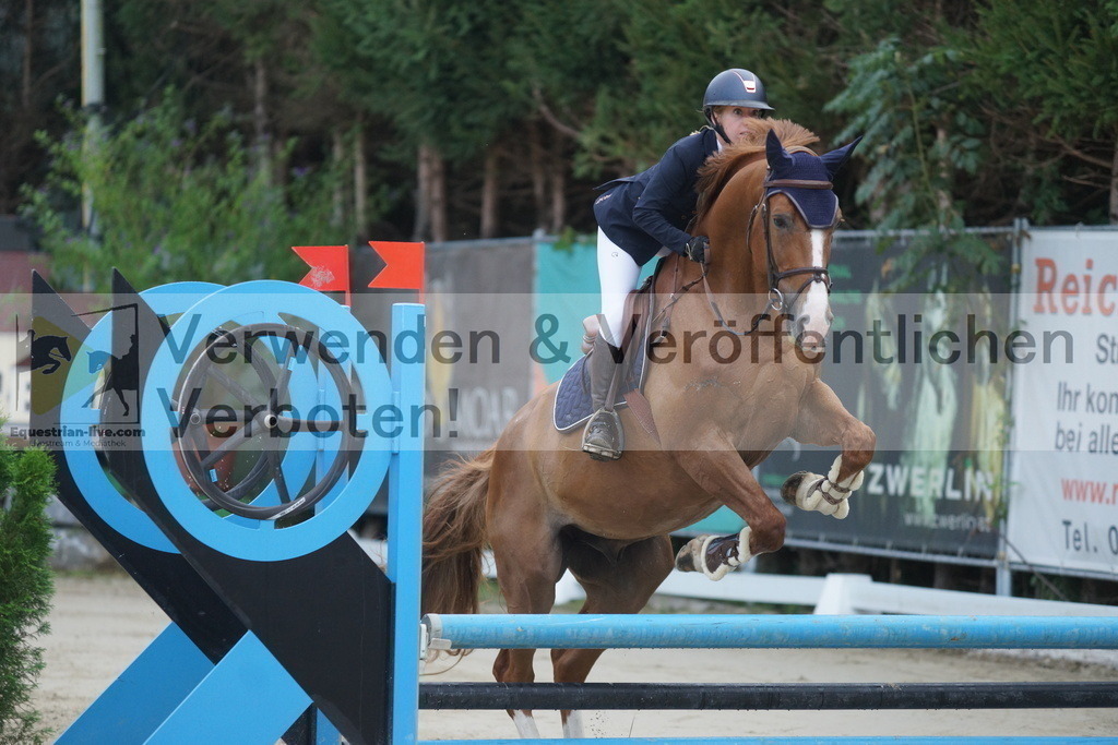 DSC09773 | equestrian-live-com