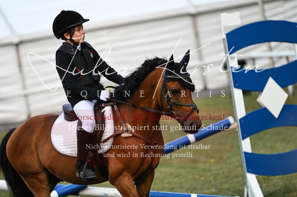 DSC_5569 | Pferde- und Turnierfotografie in Westsachsen. Pferdeportraits, Auftragszeichnungen und intuitive Kunst.