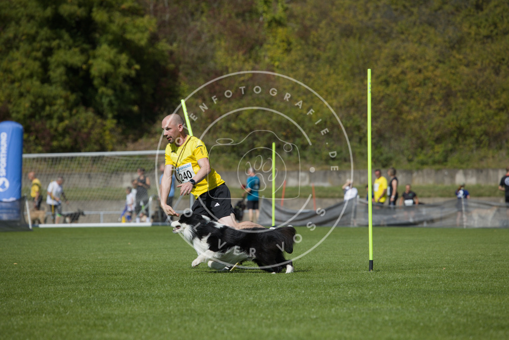 0L8A6142 | Hundefotografie, Tierfotograf, Pfotenfotografie, Fotoshooting Hund, Hunde Portrait, Hundesport, Hundeportraits, Heideshooting, Hunde, Sportfotograf, Hundefotograf, Turnierhundsport, THS,  - Realisiert mit Pictrs.com