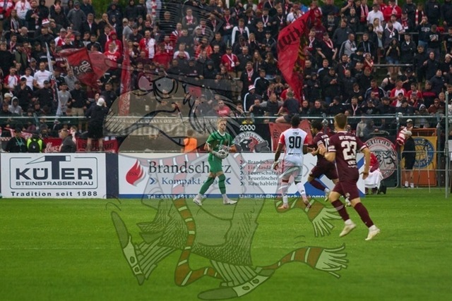 BFC Dynamo vs. Hallescher FC 050 | mythos-online-redaktion
