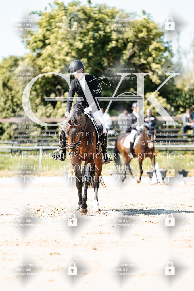CK904999 | Turnierfotografie Pferdefotografie Trier Rheinland-Pfalz Pferdesport Reitsport Tierfotografie Sportfotografie Pferdevideo Pferdevideografie Equestrianvideography equestrianphotography  - Realisiert mit Pictrs.com