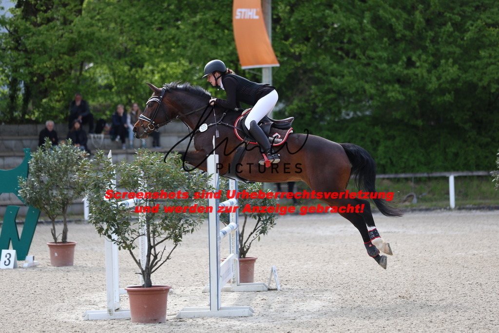 A40A5290 | lmwpictures - Realisiert mit Pictrs.com