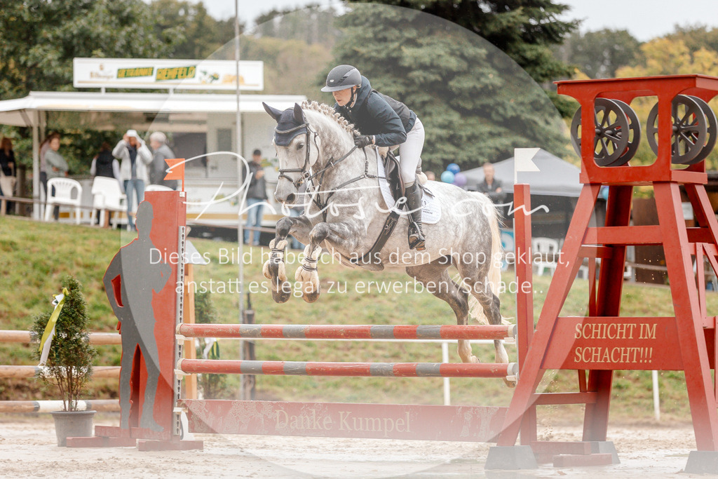 3I6A5952 | Stimmungsvolle Portraits und Reitsportfotografie im Ruhrgebiet und im Münsterland.

Pferdefotografie, Hundefotografie, Tierfotografie, Reportagen, Portraits von Tier und Mensch, Turnierfotografie in Bochum, Recklinghausen, Marl, Haltern am See, Dülmen.. - Realisiert mit Pictrs.com