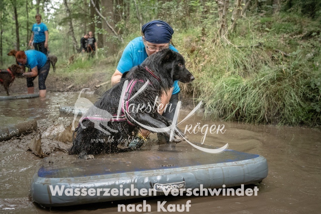 1255_ZZ91561T | kk-dogfotos