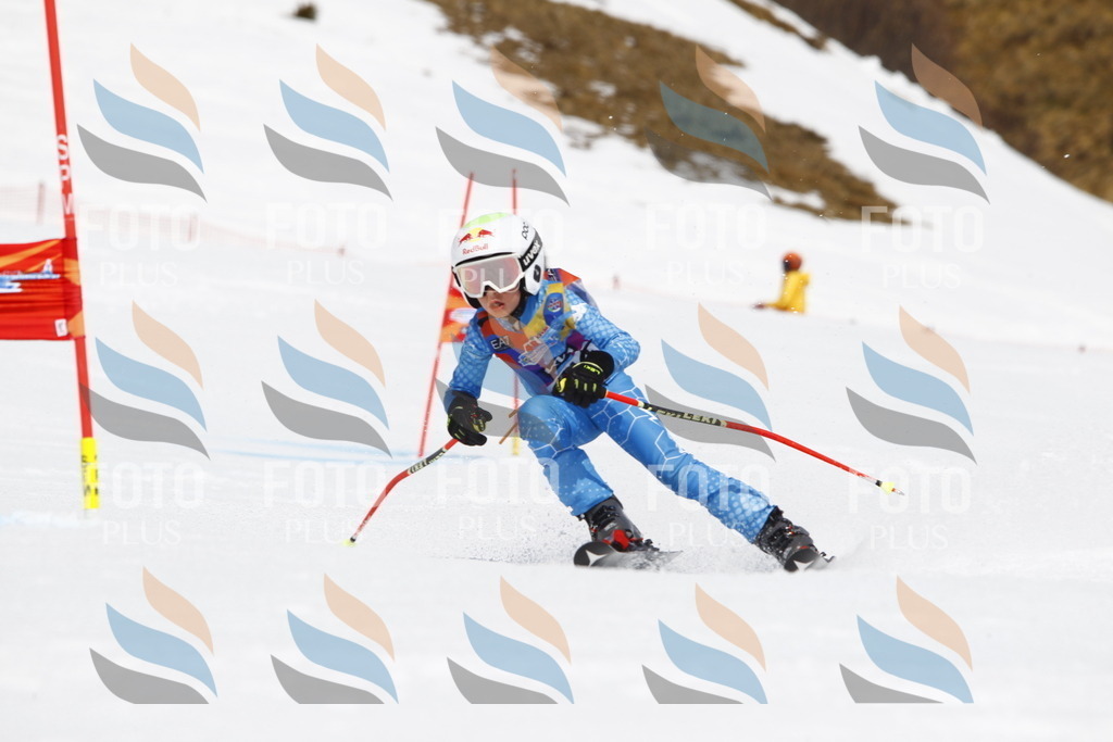 _U3G6173 | holidayphoto