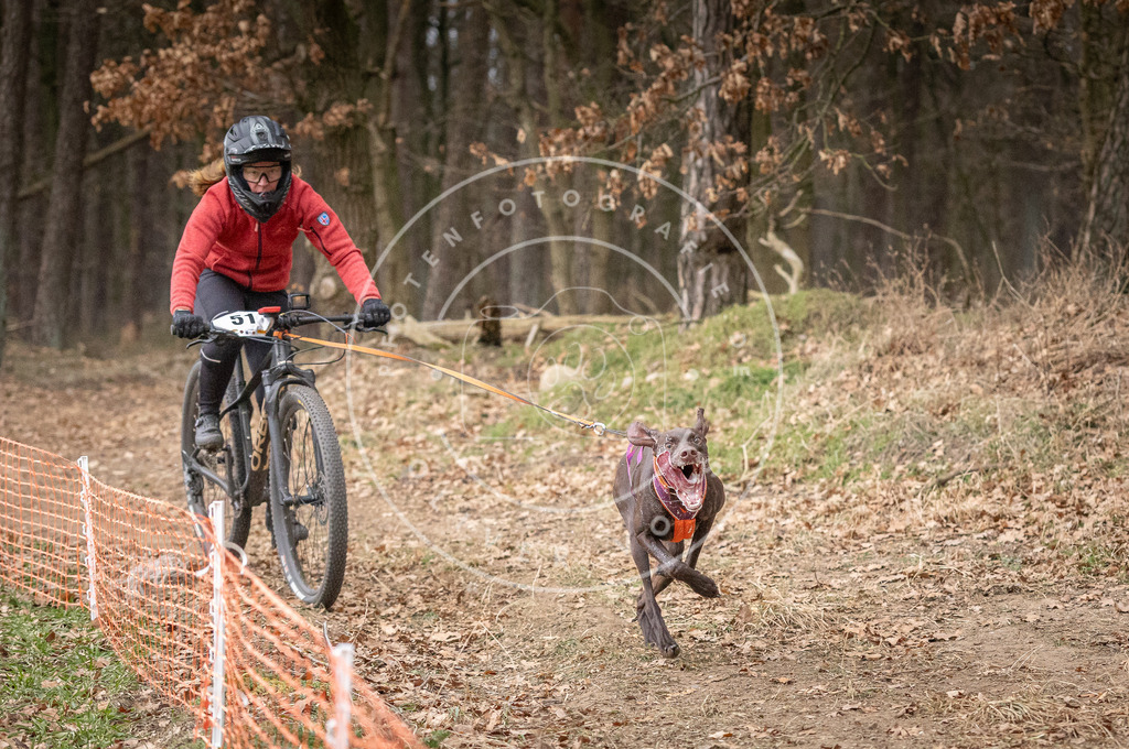 Pfotenfotografie_DV3A1400 | Hundefotografie, Tierfotograf, Pfotenfotografie, Fotoshooting Hund, Hunde Portrait, Hundesport, Hundeportraits, Heideshooting, Hunde, Sportfotograf, Hundefotograf, Turnierhundsport, THS,  - Realisiert mit Pictrs.com