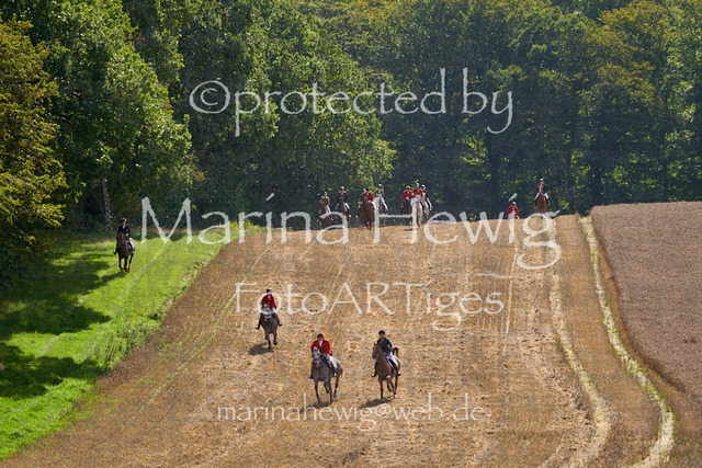 _MCH8179_Marina Hewig | Fotografie, FotoArt, PferdesportArt, Pferdesportfotografie, Landschaftsfotografie, Reisefotografie, Reise, Pferde - Realisiert mit Pictrs.com