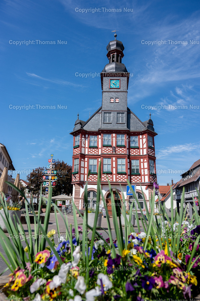 DSC_6676 | Frühlingshafte Szene in der historischen Innenstadt von Lorsch: historisches Rathaus und ein Baum ist mit bunten Lampions geschmückt und sorgt auf dem Platz vor den charmanten Fachwerk- und Altstadthäusern für eine farbenfrohe Atmosphäre. Sonniges Wetter und lebendiges Stadtbild im Herzen der UNESCO-Klosterstadt Lorsch an der Hessischen Bergstraße.,Bild: THomas Neu