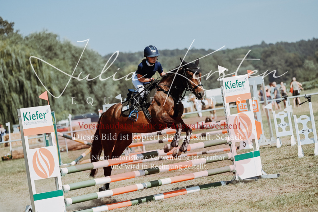DSC_0062 | Pferde- und Turnierfotografie in Westsachsen. Pferdeportraits, Auftragszeichnungen und intuitive Kunst.