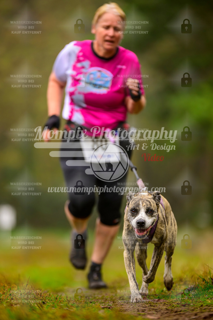 MompixPhotography_Bischwiller2025_Canicross-171 | mompixphotography