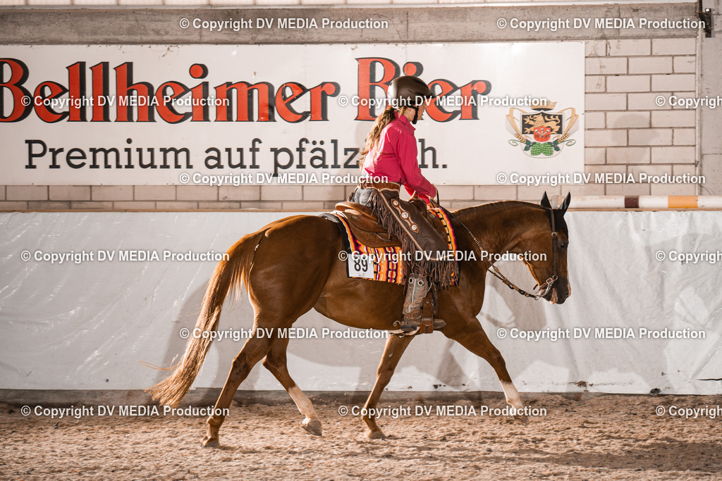 ZH100973 | dv-media-shop - Realisiert mit Pictrs.com