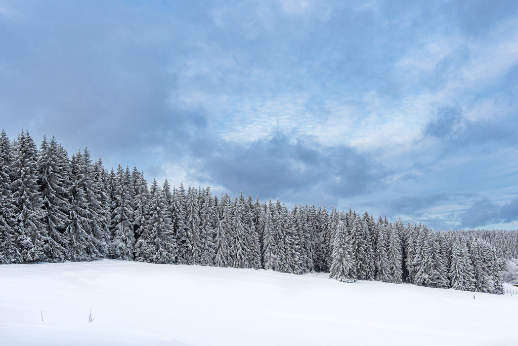 Landschaft im Winter im Thüringer Wald in der Nähe von Schmiedefeld am Rennsteig | Landschaft im Winter im Thüringer Wald in der Nähe von Schmiedefeld am Rennsteig.