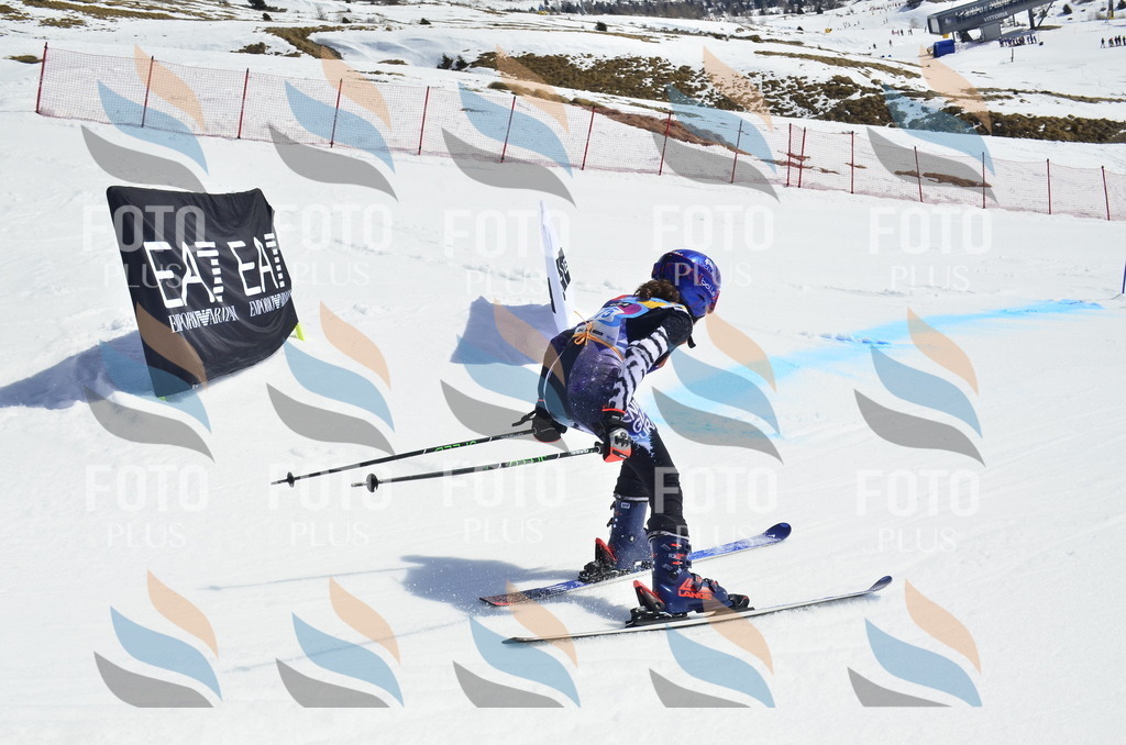 _ELE1182 | holidayphoto