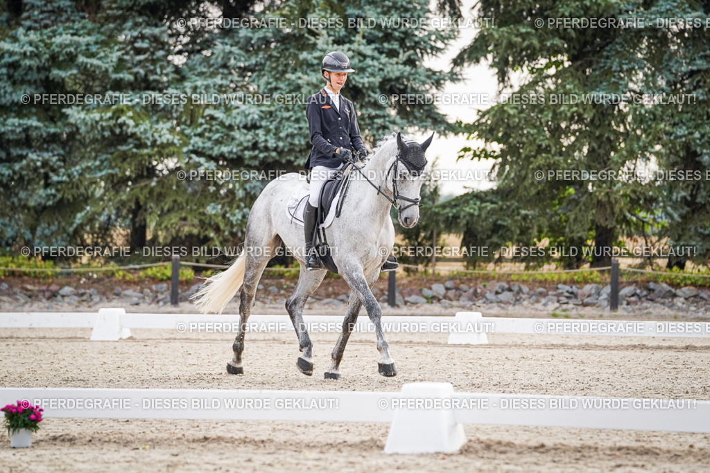 DSC00090 | Pferdegrafie