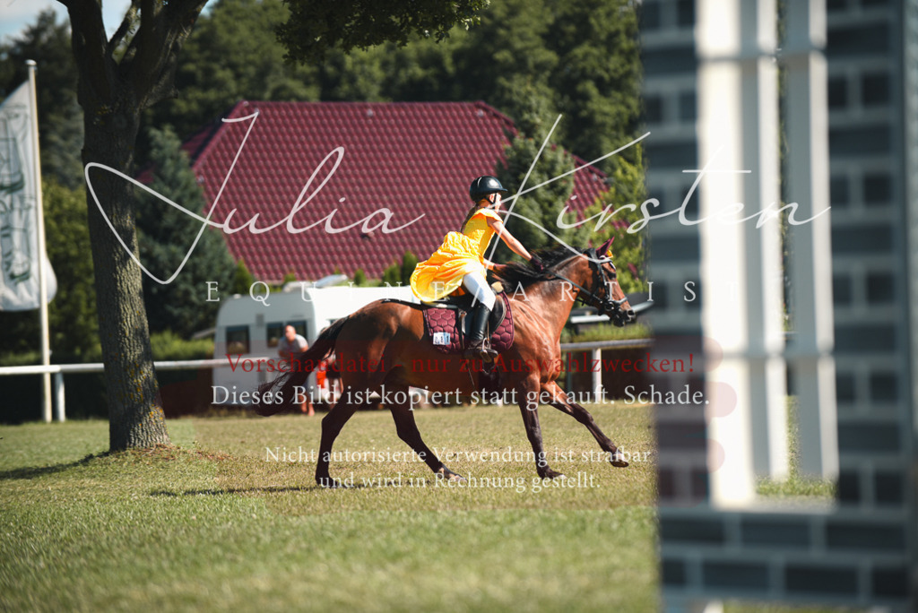 DSC_7521 | Pferde- und Turnierfotografie in Westsachsen. Pferdeportraits, Auftragszeichnungen und intuitive Kunst.