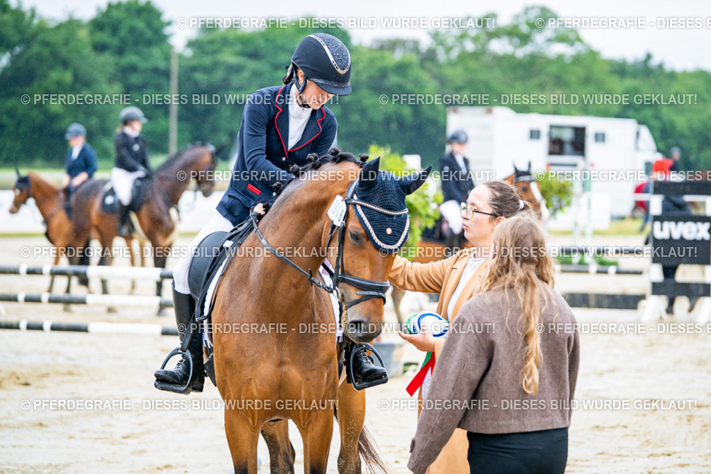 DSC03303 | Pferdegrafie