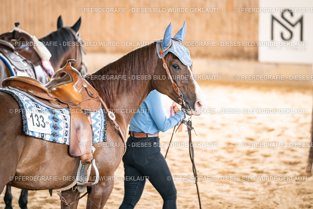 DSC00568 | Pferdegrafie