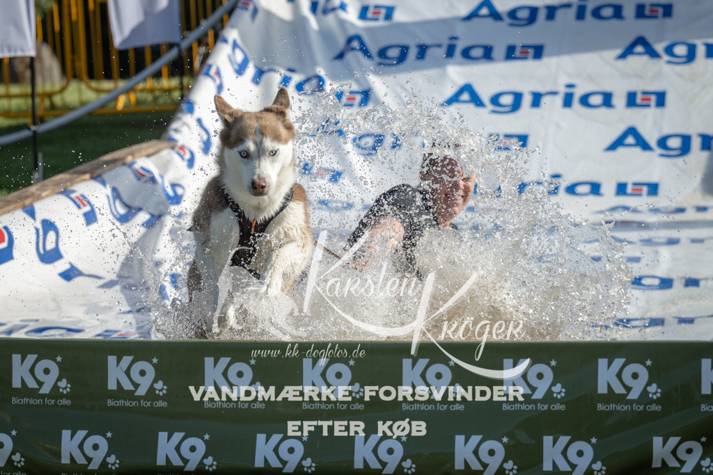 0936_ZZ96495 | kk-dogfotos
