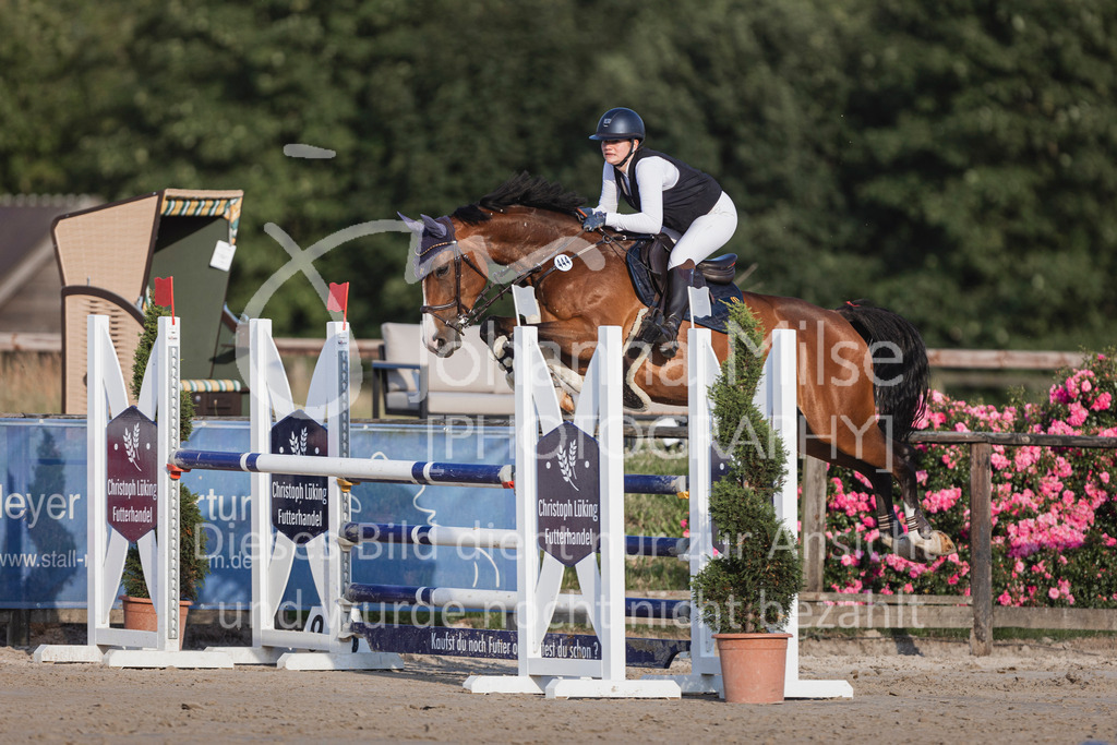 240628_LüPfSpTa_L-Spr-348 | Deine schönsten Turniermomente als professionelle Fotos! Entdecke hochwertige Pferdesport-Fotografie im Online-Shop. Jetzt Fotos finden & bestellen!