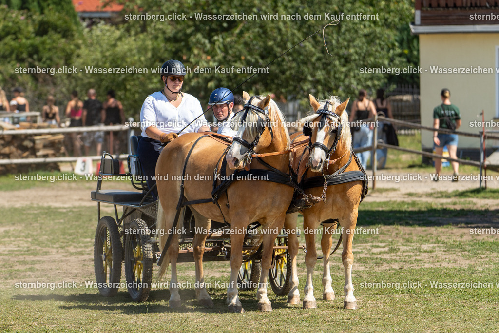 2026-08-09_12-16-29_WBO_Pulsnitz | sternberg.click - Realisiert mit Pictrs.com