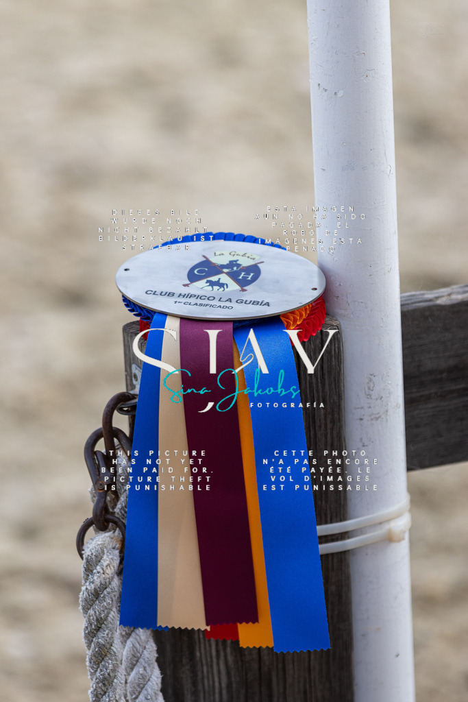 IMG_4962 | s-jay-photography - Realisiert mit Pictrs.com