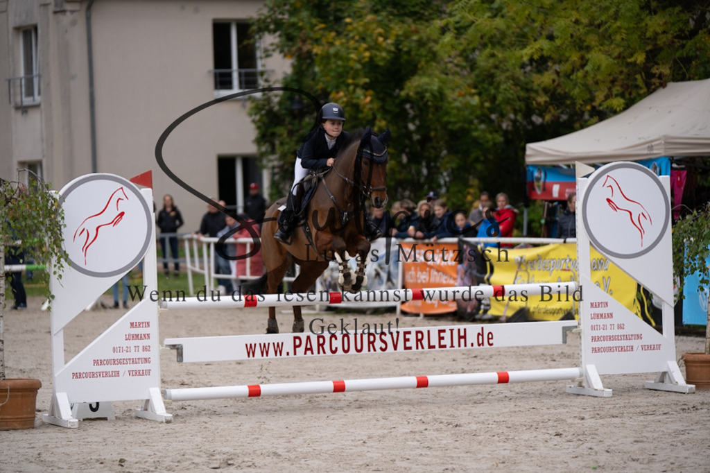 A7V07680 | Pferdefotograf