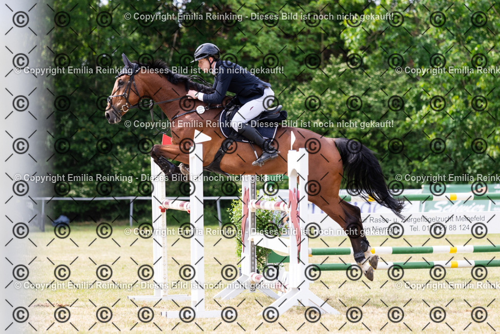 CL5A8135 | Emilia Reinking Fotografie - Realisiert mit Pictrs.com