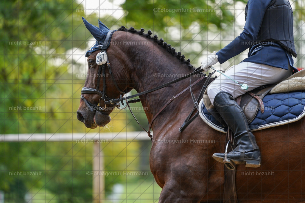 20231008-SN_01175 | Professionelle Turnier- und Reitsportfotografie - mit dem Finger am Auslöser. Pferdebilder aus dem Reitsport von den Turnierfotografen  Bayern , Pferdefotograf Bayern, Pferdeshooting Turnierbilder, Hochzeitsfotograf, Eventfotograf, Hochzeitsbilder