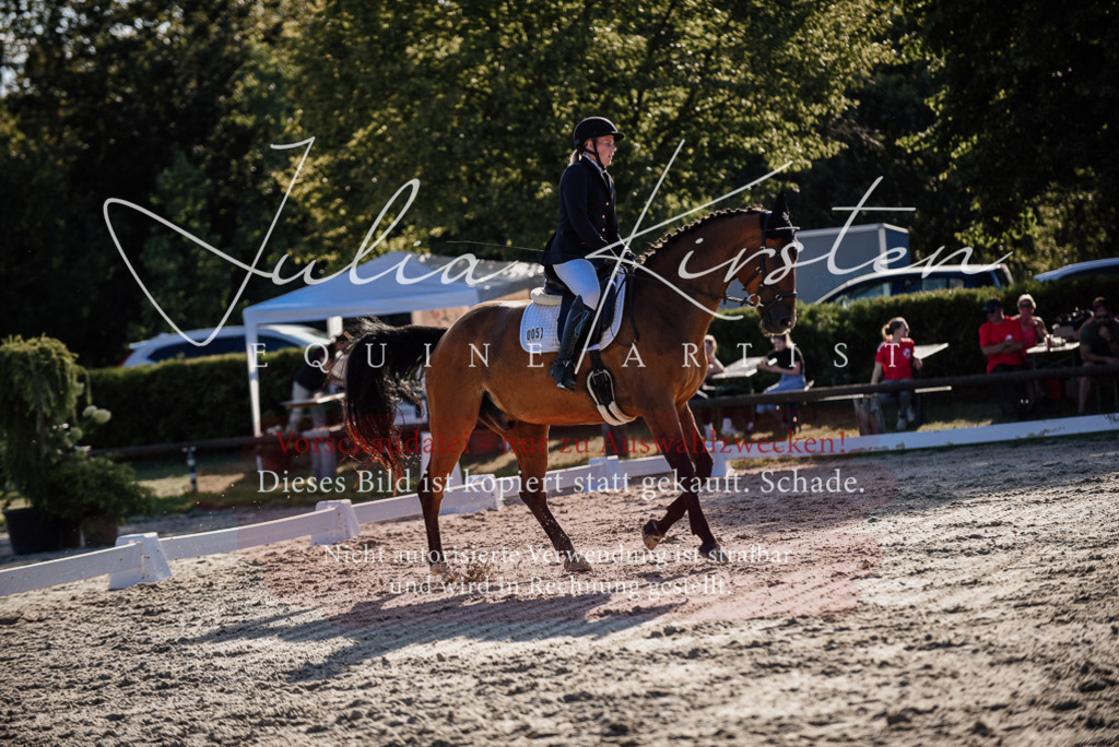 DSC_0695 | Pferde- und Turnierfotografie in Westsachsen. Pferdeportraits, Auftragszeichnungen und intuitive Kunst.