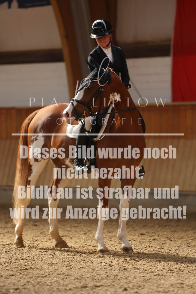 IMGS1037 | pl-fotografie