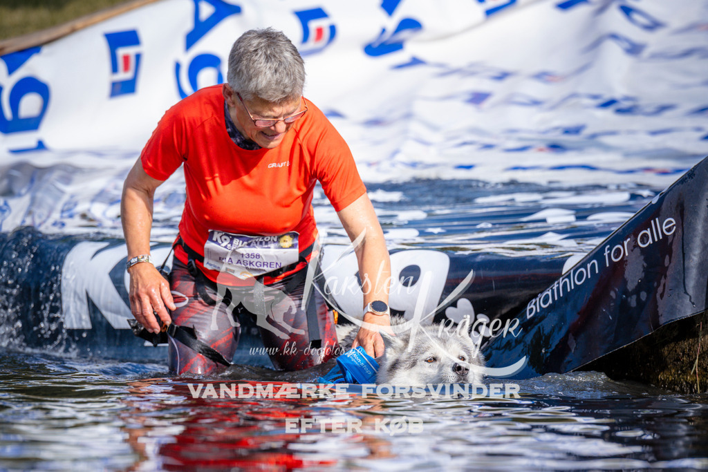 _ZZ959920731 | kk-dogfotos