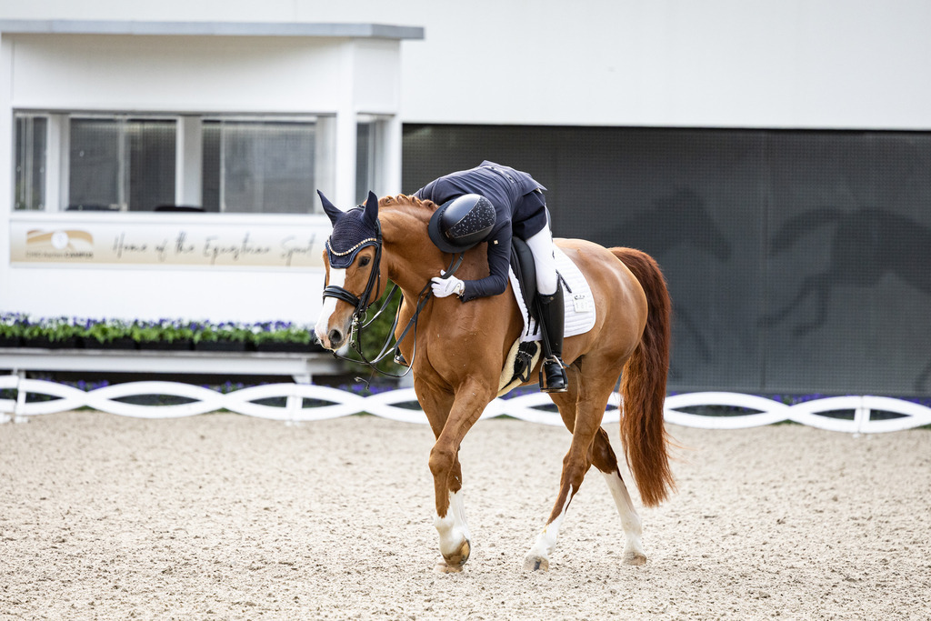 126A4646 | jasminmetznerfotografie