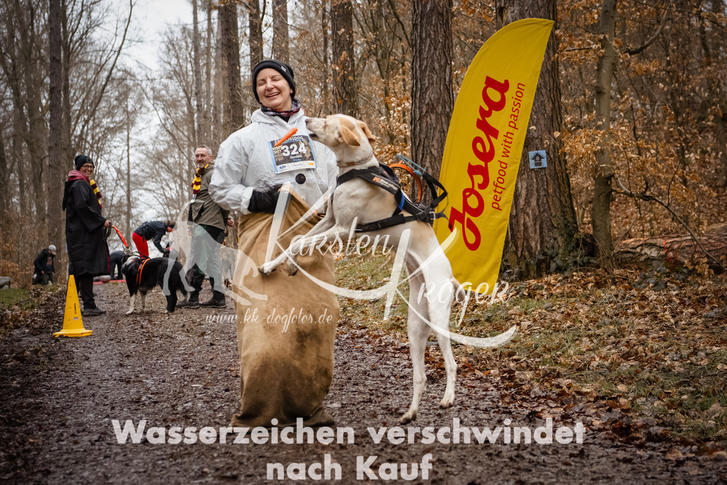 1158_ZZ93208-Bearbeitet-2 | kk-dogfotos