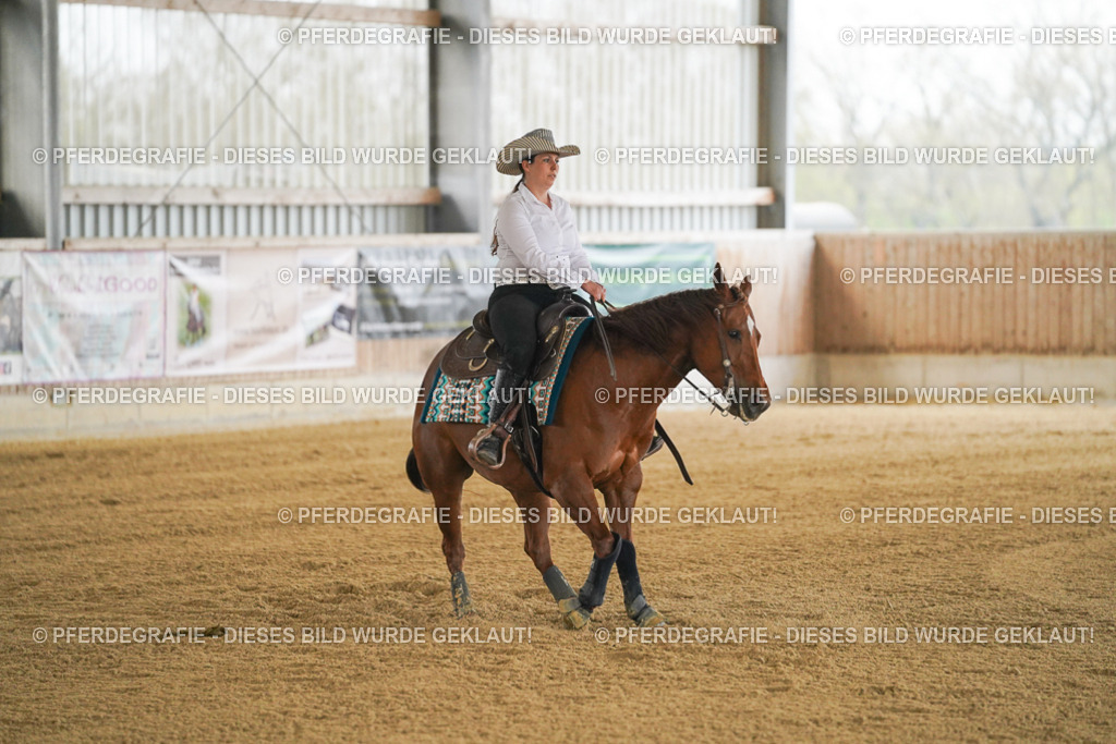 DSC07829 | Pferdegrafie