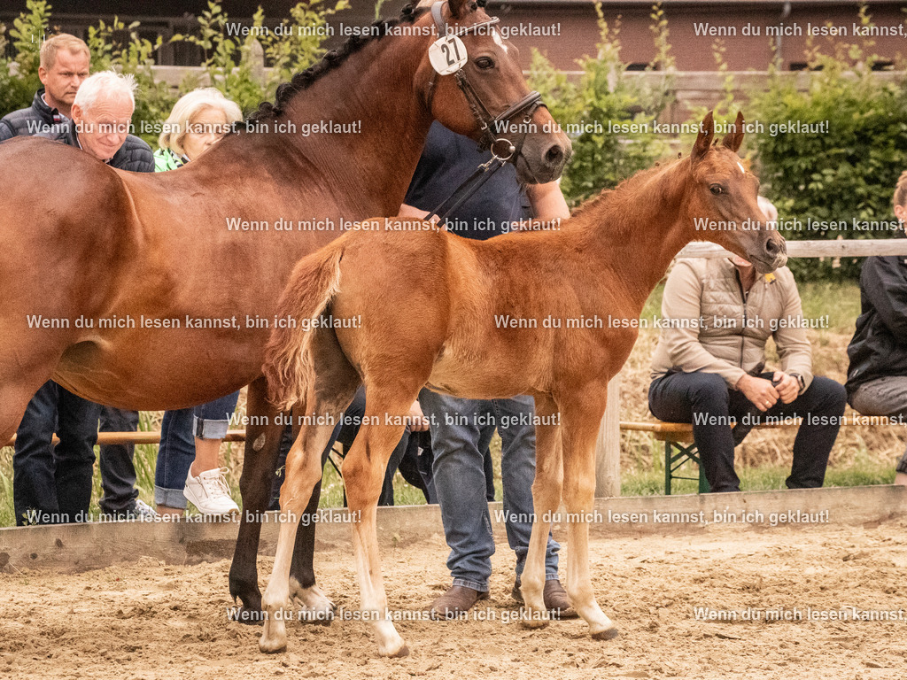 A10I2019 15.54.45 | photographylinaismer - Realisiert mit Pictrs.com