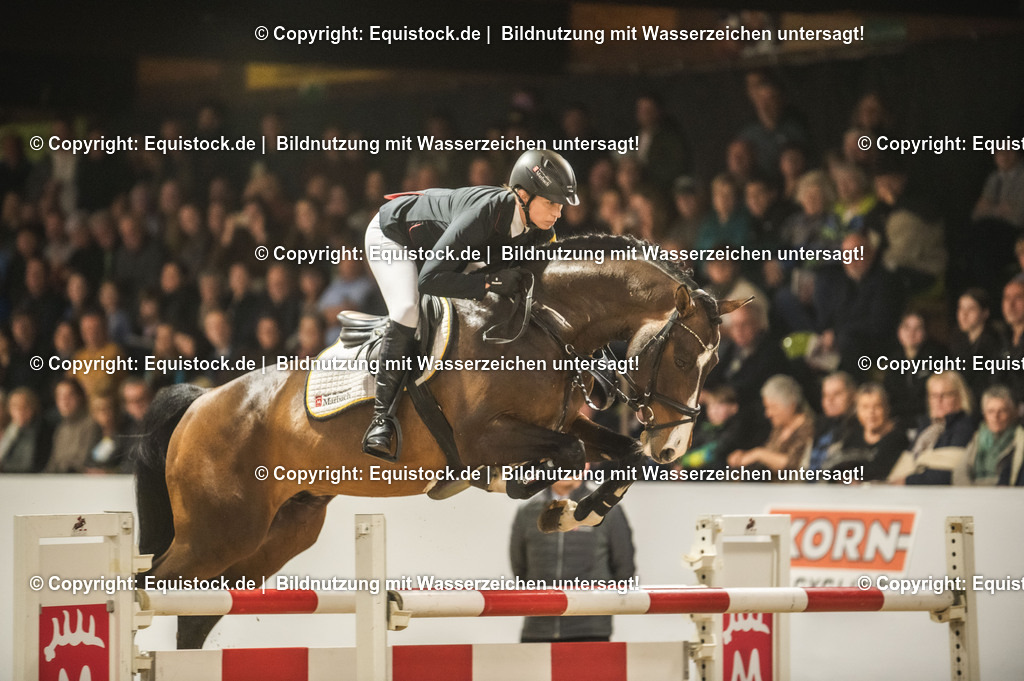 20240302_Hengstvorstellung_Marbach_TOMsPiC_1378 | equistock