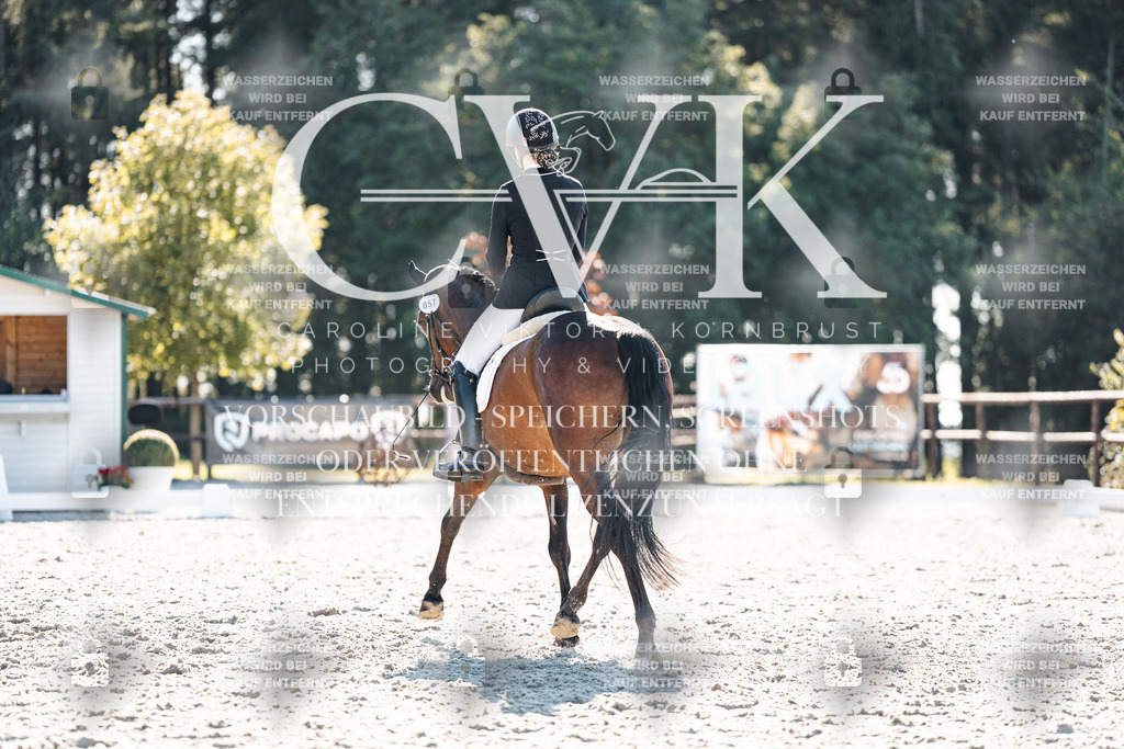 CK906230 | Turnierfotografie Pferdefotografie Trier Rheinland-Pfalz Pferdesport Reitsport Tierfotografie Sportfotografie Pferdevideo Pferdevideografie Equestrianvideography equestrianphotography  - Realisiert mit Pictrs.com