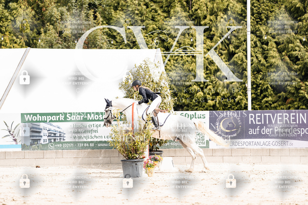 CK906456 | Turnierfotografie Pferdefotografie Trier Rheinland-Pfalz Pferdesport Reitsport Tierfotografie Sportfotografie Pferdevideo Pferdevideografie Equestrianvideography equestrianphotography  - Realisiert mit Pictrs.com