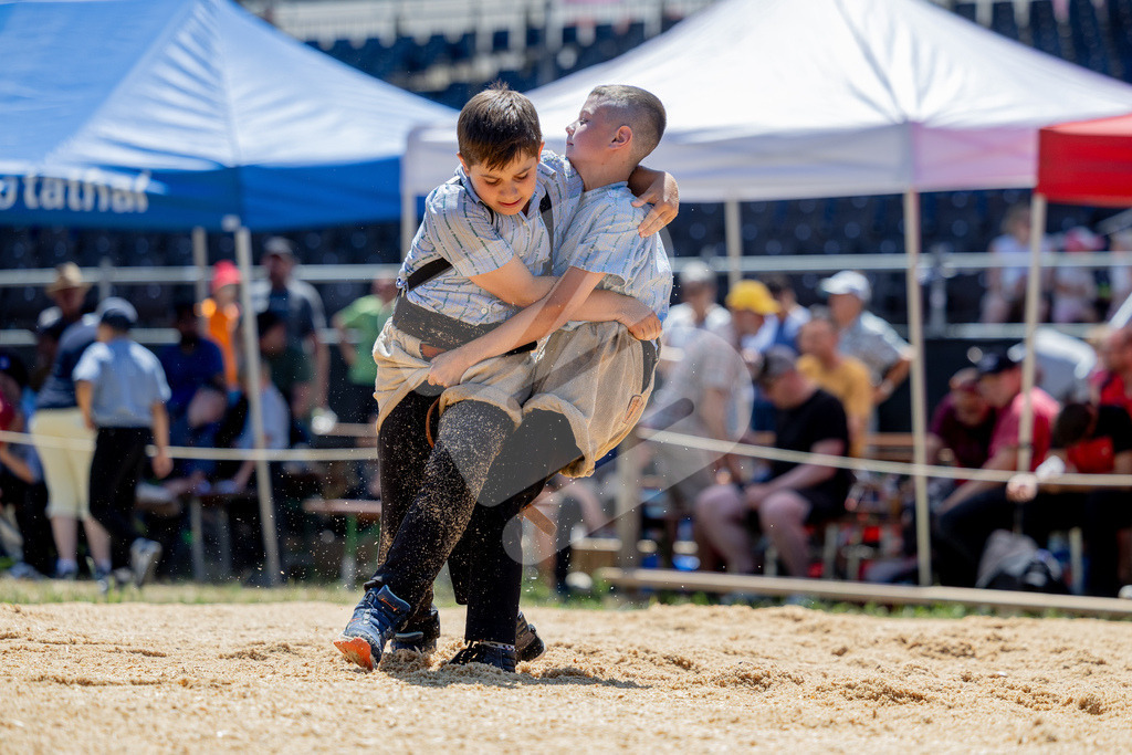SchwyzerJung2026_00015 | Die Schwinger des Schwyzer Kantonalen Schwingerverbandes: Fotos, die Dynamik und Leidenschaft festhalten, sowie emotionale Momente aus dem traditionellen Schwingsport zeigen. - Realisiert mit Pictrs.com