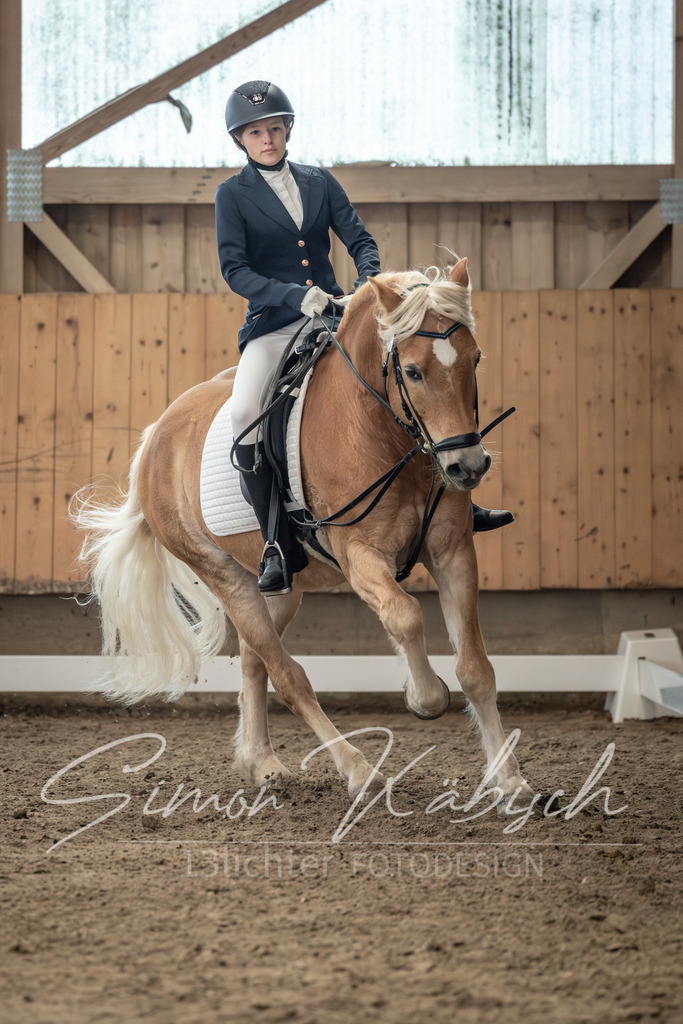 20251011-_3LI8360 | Tierfotografie Pferde, Hunde, Katzen, Haustiere.
Turnierfotografie Reitturniere, Reiten, Springreiten, Dressur in Hanau, dem Main-Kinzig-Kreis und dem Rhein-Main- Gebiet um Frankfurt