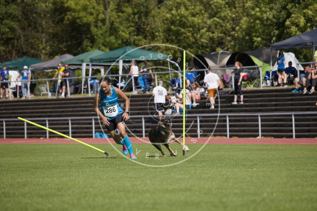 0L8A6919 | Hundefotografie, Tierfotograf, Pfotenfotografie, Fotoshooting Hund, Hunde Portrait, Hundesport, Hundeportraits, Heideshooting, Hunde, Sportfotograf, Hundefotograf, Turnierhundsport, THS,  - Realisiert mit Pictrs.com