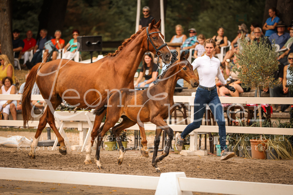 SaPA00300 | Leoni Ertmer Photography - Realisiert mit Pictrs.com