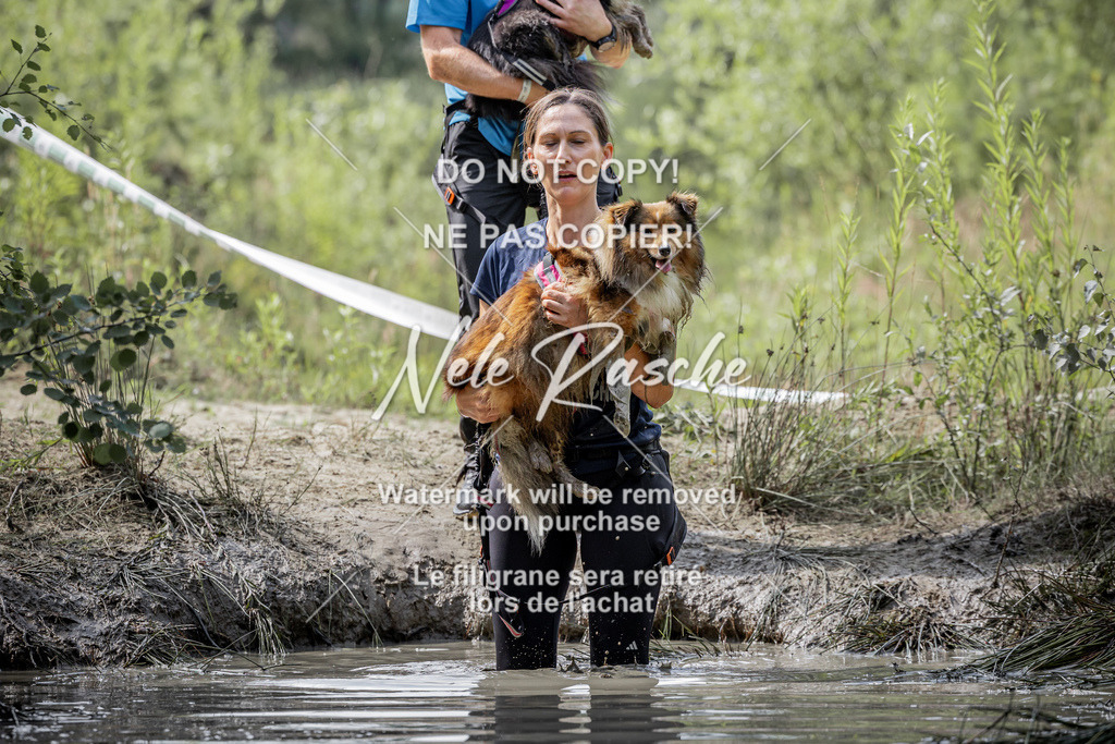 nelerasche_so1030-1100_208 | nelerasche