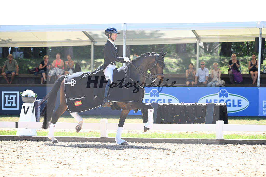 Goldenes Reitabzeichen_Adrian Munoz Jurado_11254509 | hf-fotografie - Realisiert mit Pictrs.com